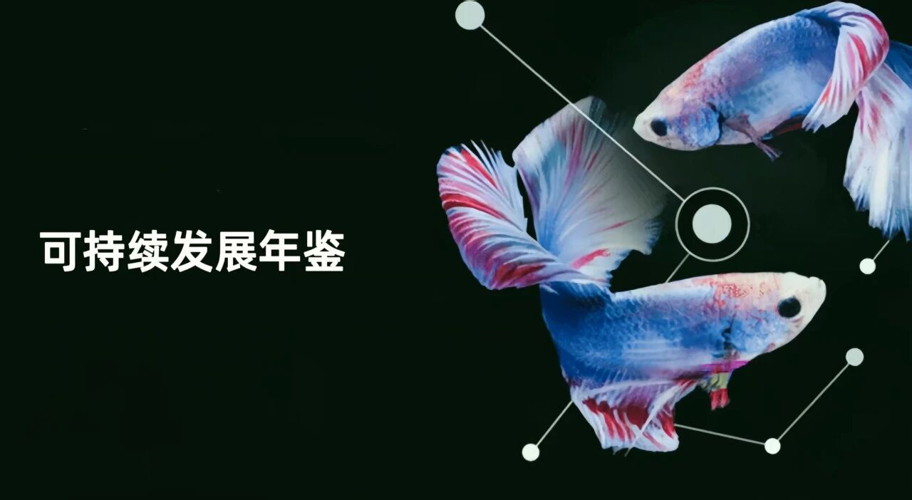 IMG_3490.JPG IMG_3490.JPG